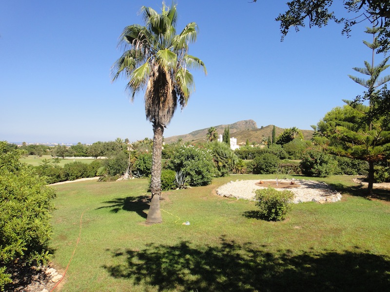 Garden.JPG