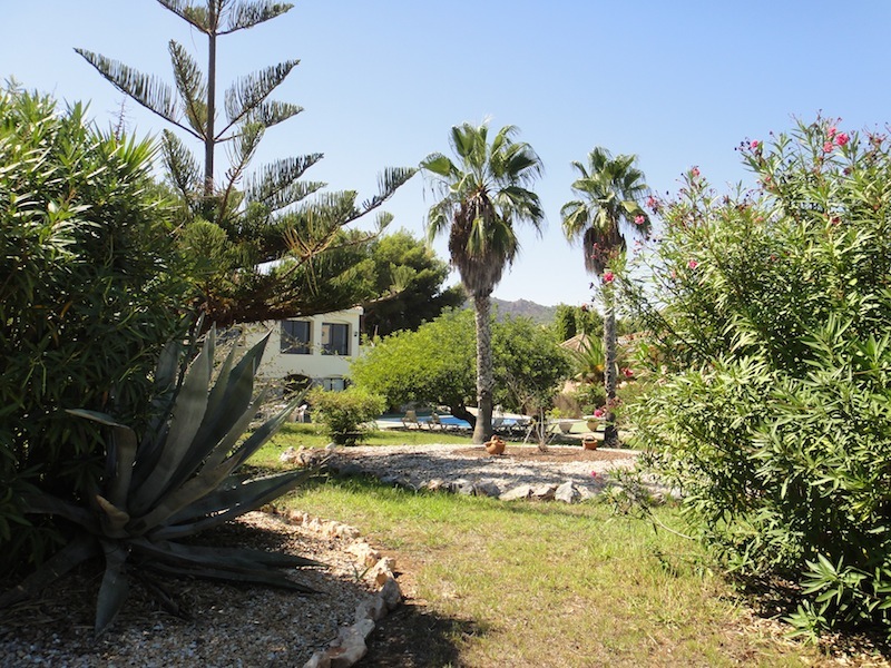 Garden.JPG